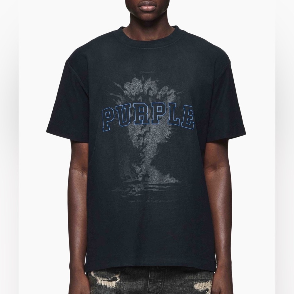 Purple Brand T-Shirt (Blue) Size Small